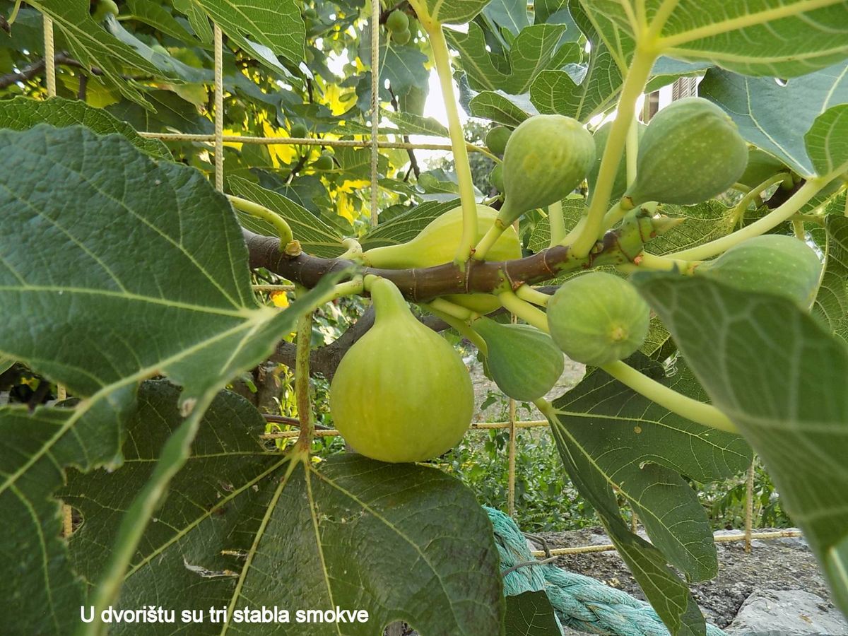 Prodajem kuću na Crnogorskom primorju- Tivat