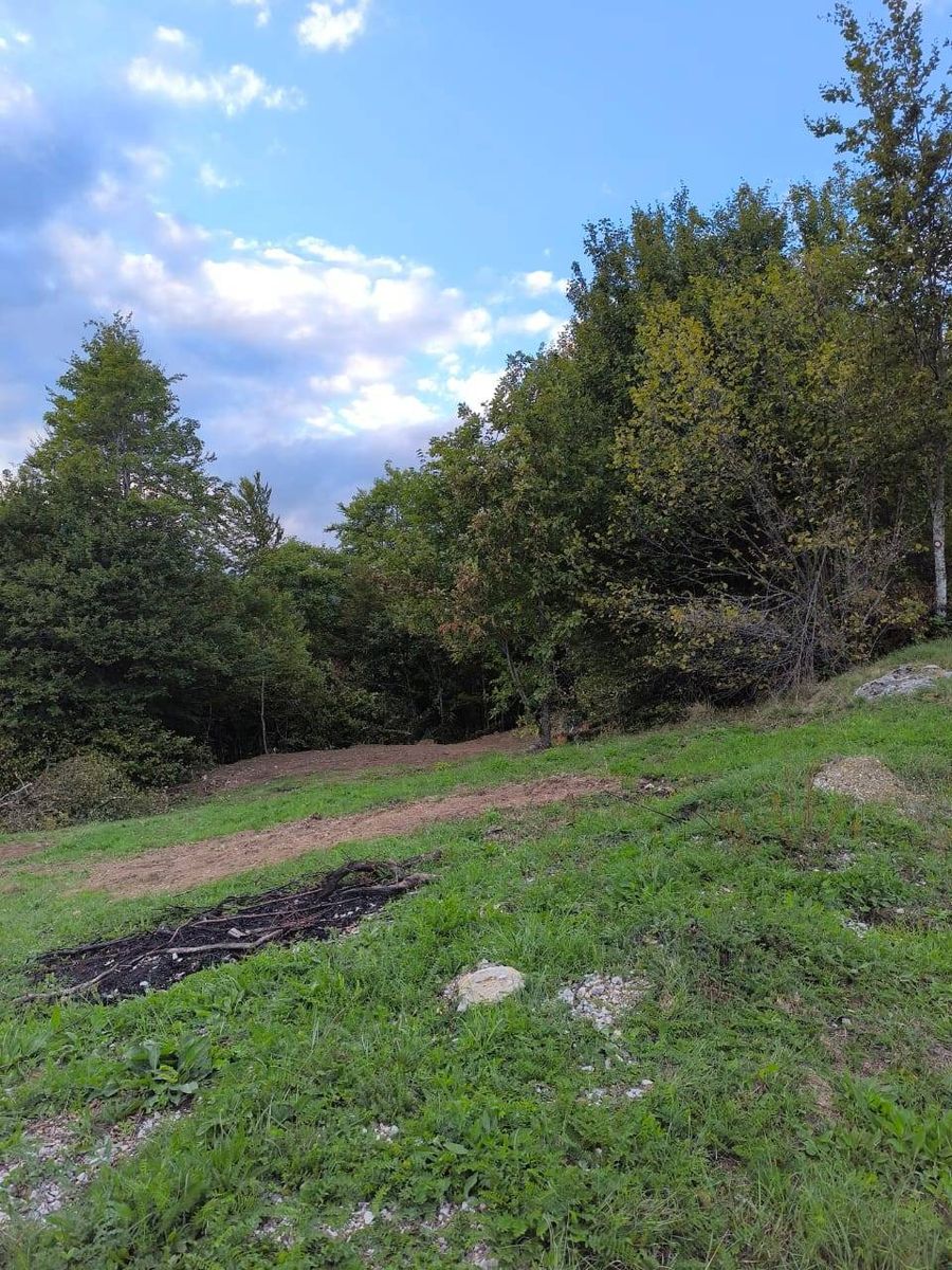 Prodajem plac na Crkvinama opština Kolašin.