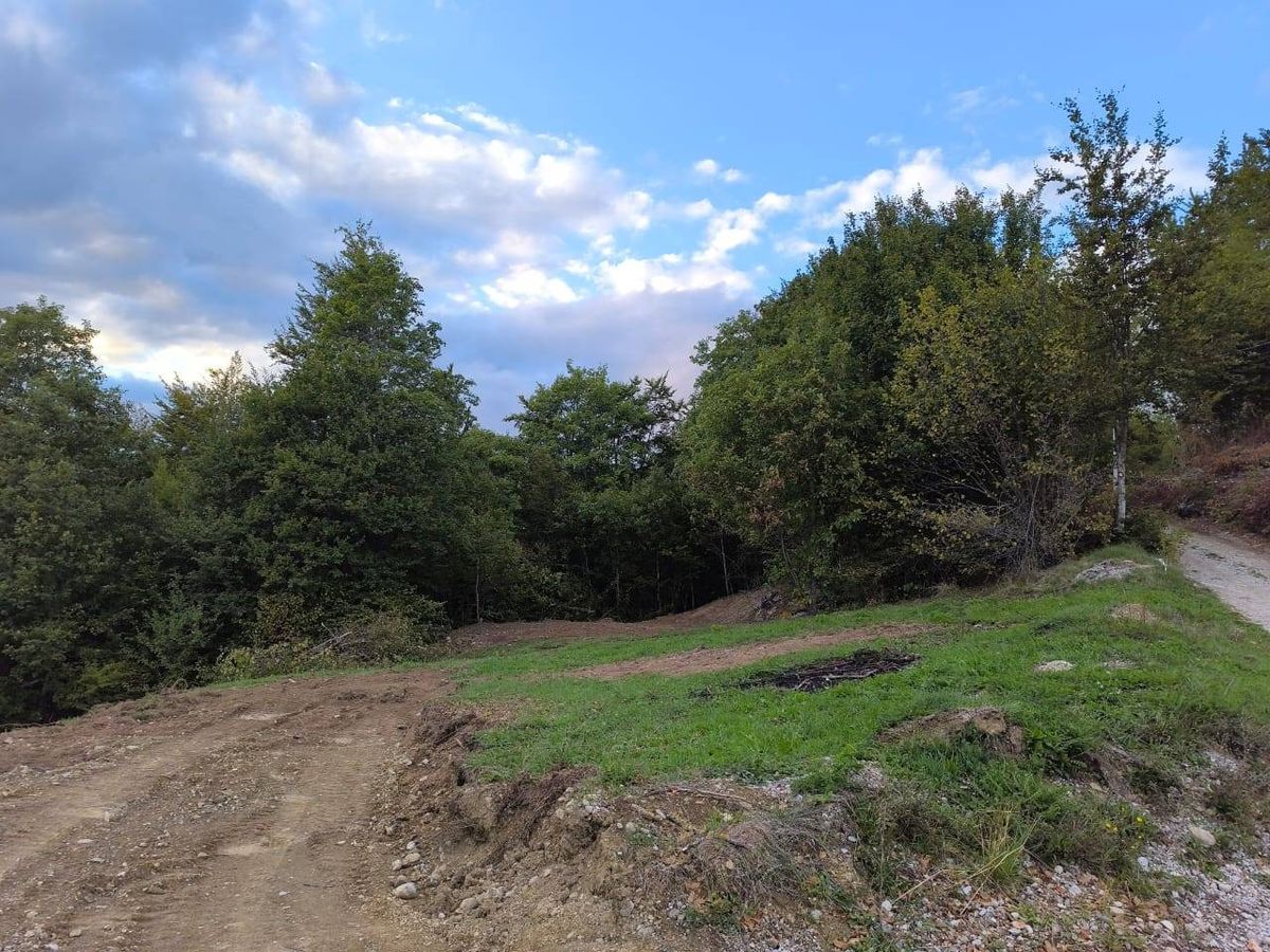 Prodajem plac na Crkvinama opština Kolašin.