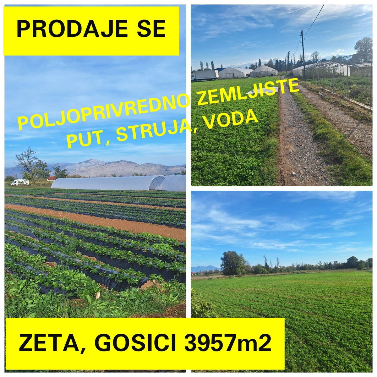 Poljoprivredno zemljiste Zeta